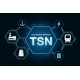 TSN Switch