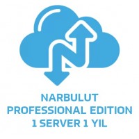 Narbulut 1 Server 100G Veri Depolama Alanı 1 Yıl @ NBSYA11