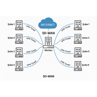 Peplink SD-WAN çözümleri ile Merkez - Şube Arası Bağlantılar Peplink SD-WAN çözümleri ile Merkez - Şube Arası Bağlantılar